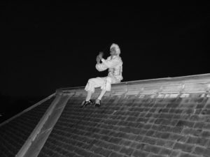 Pierrot la Lune sur un toit